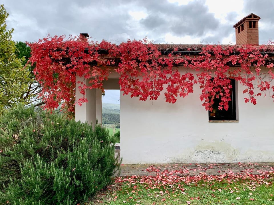 Property building, Autumn