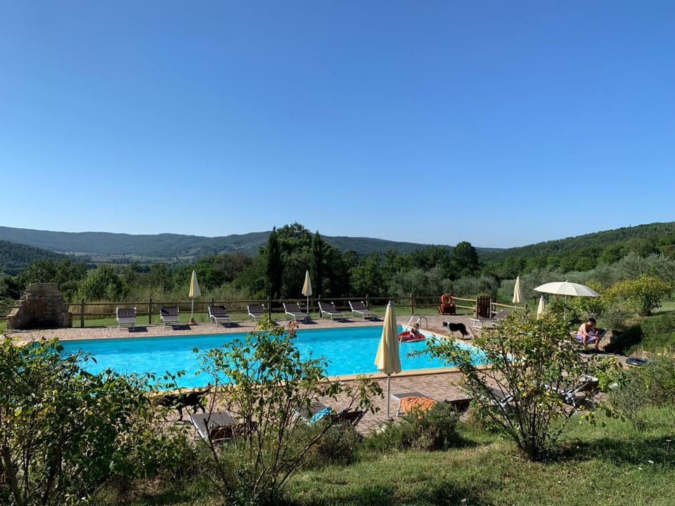 Pool view, Swimming pool, Swimming pool