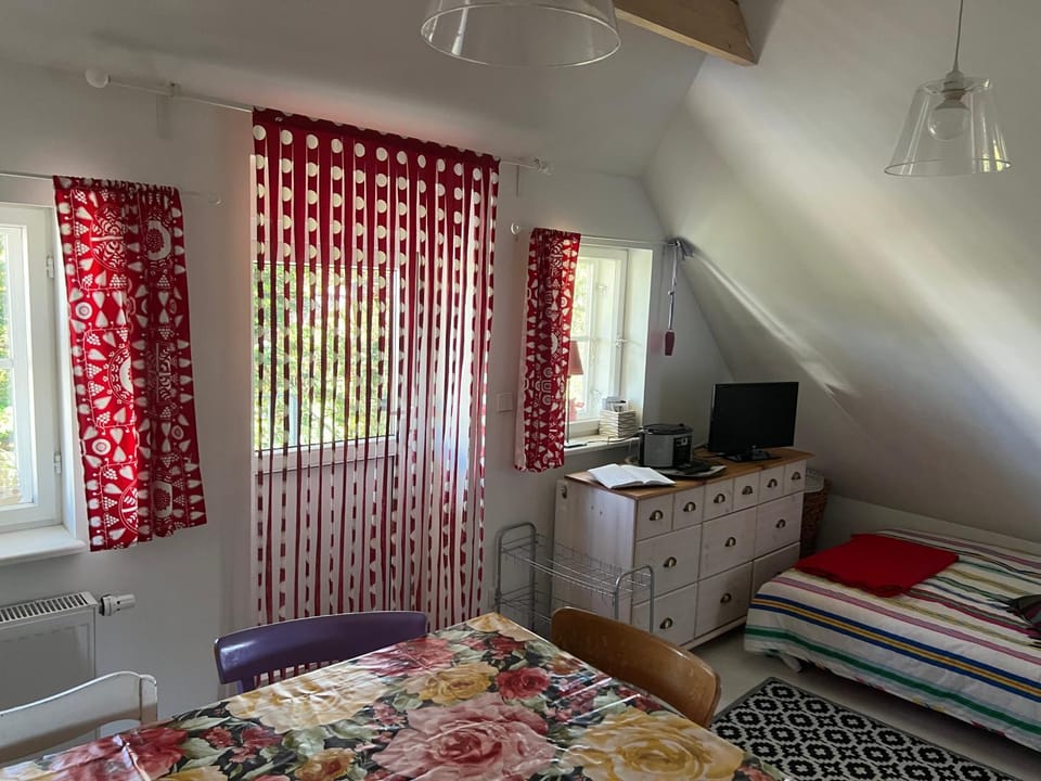 Bed, TV and multimedia, Living room, Photo of the whole room, Seating area, Bedroom