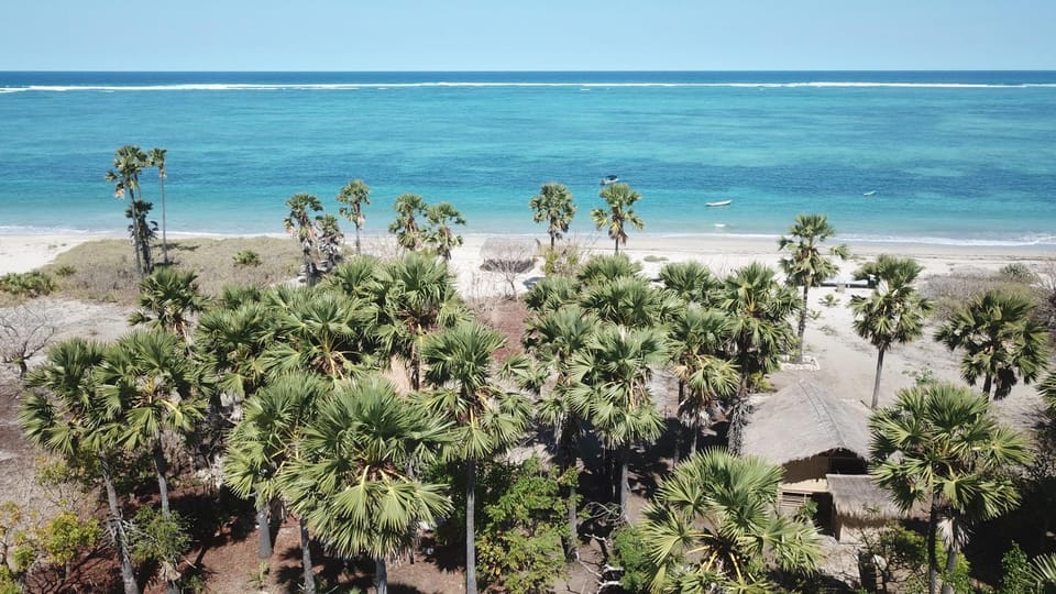Garden, Beach, Swimming pool