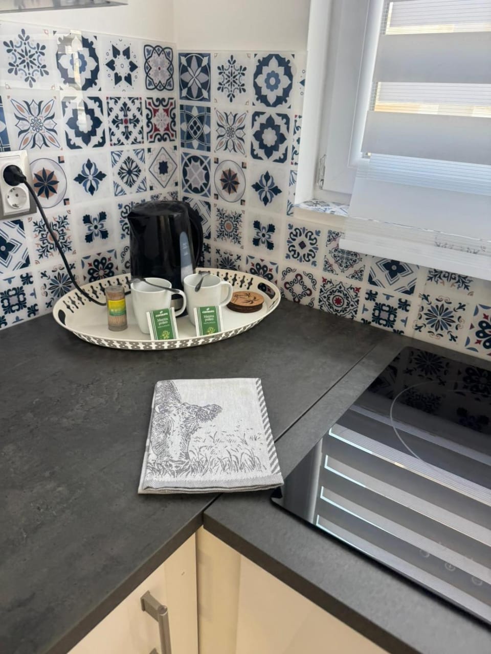 Coffee/tea facilities, Kitchen or kitchenette