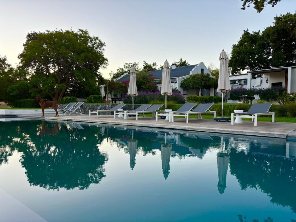 Property building, Patio, Garden, Pets, Garden view, Pool view, Swimming pool, Sunset