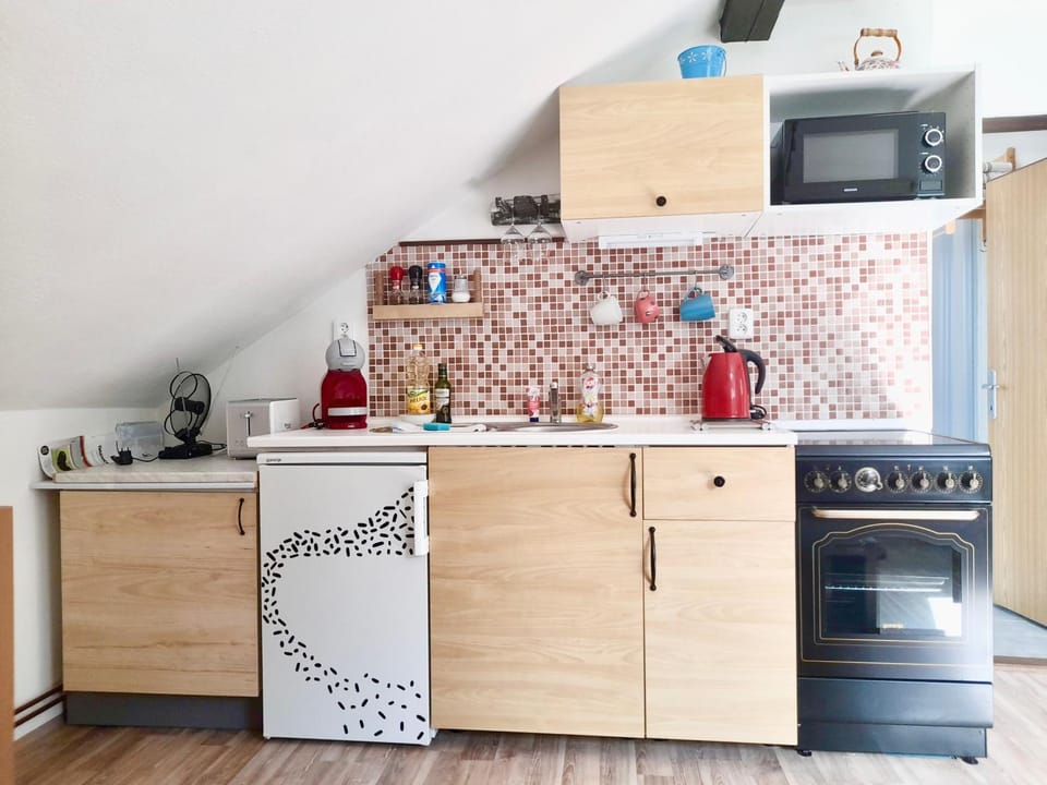 Coffee/tea facilities, Kitchen or kitchenette, minibar, pet friendly, stove, toaster