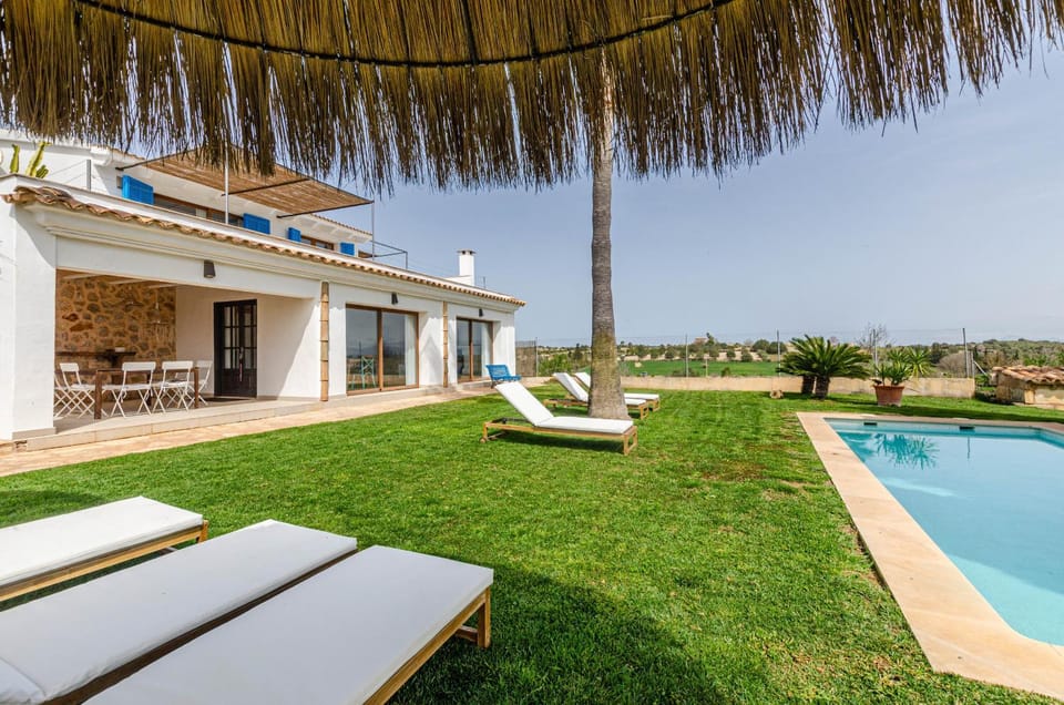 Patio, Garden, Garden view