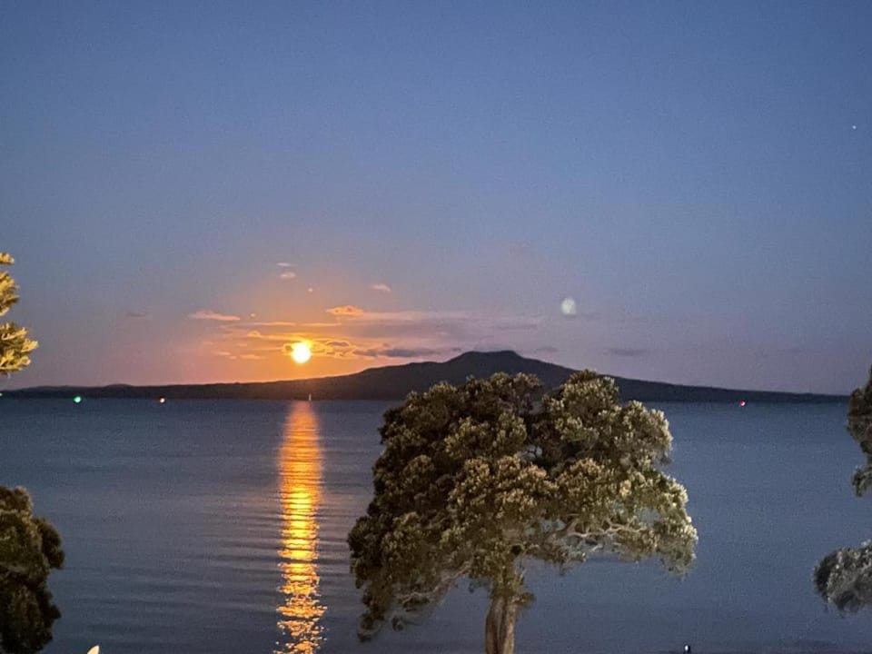 Andelin Guest House Bed and Breakfast in Auckland