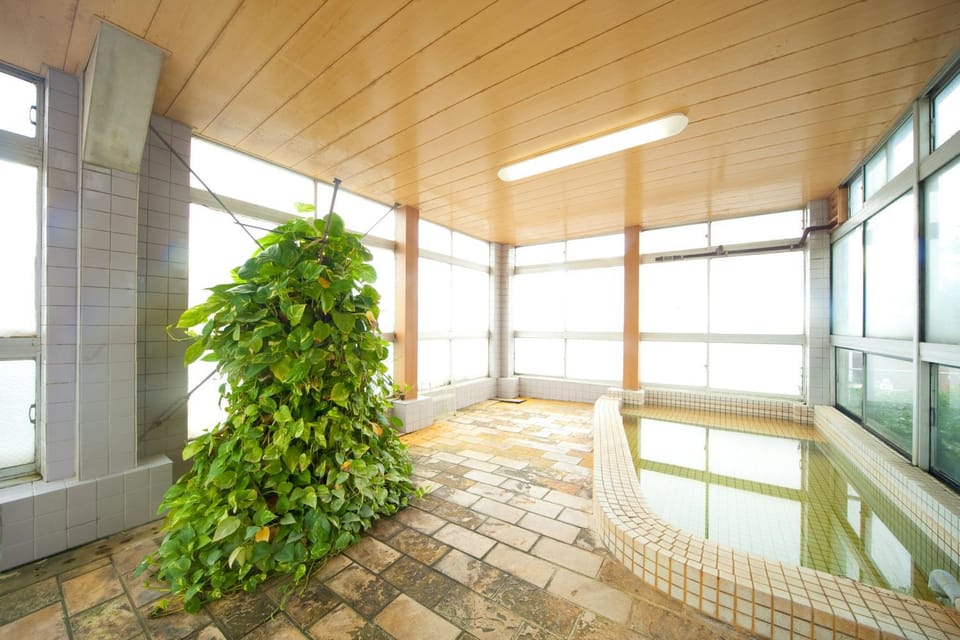 Hot Spring Bath, Other, Area and facilities, Public Bath