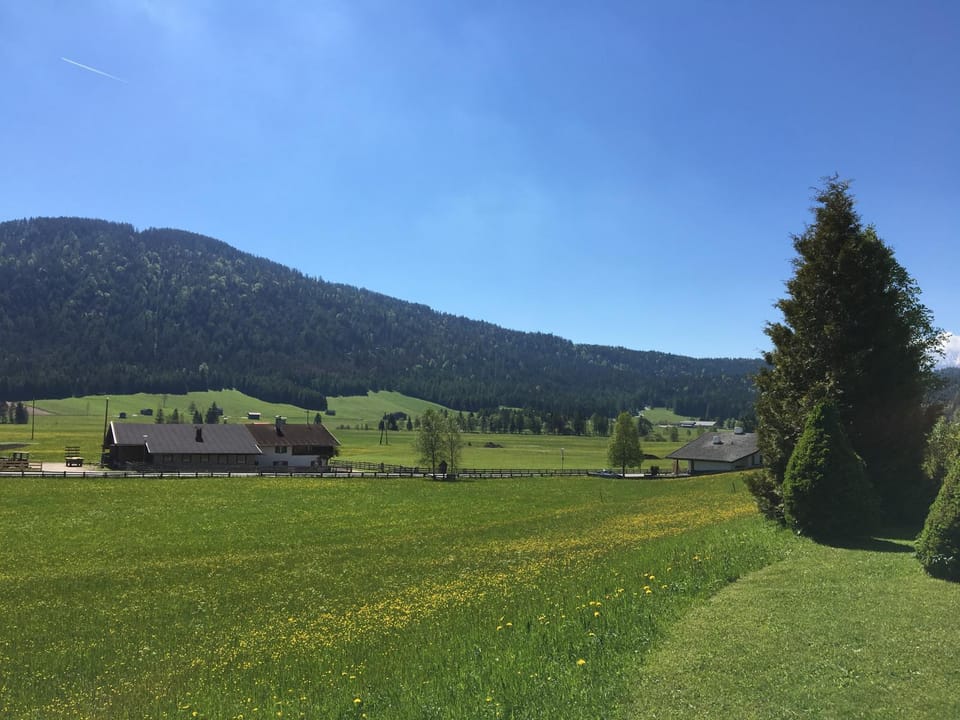 Natural landscape
