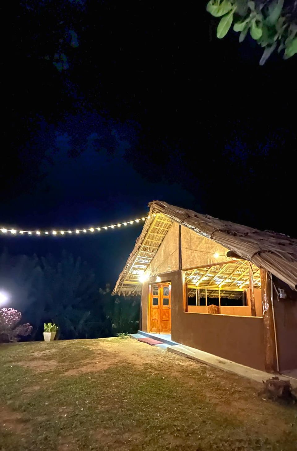 Property building, Night, Garden view