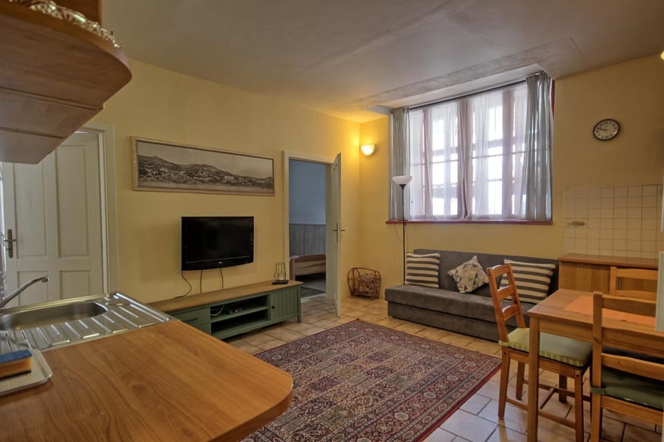 TV and multimedia, Kitchen or kitchenette, Living room, stove