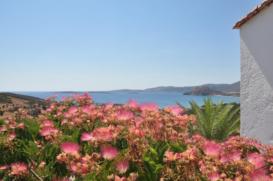 Natural landscape, Sea view