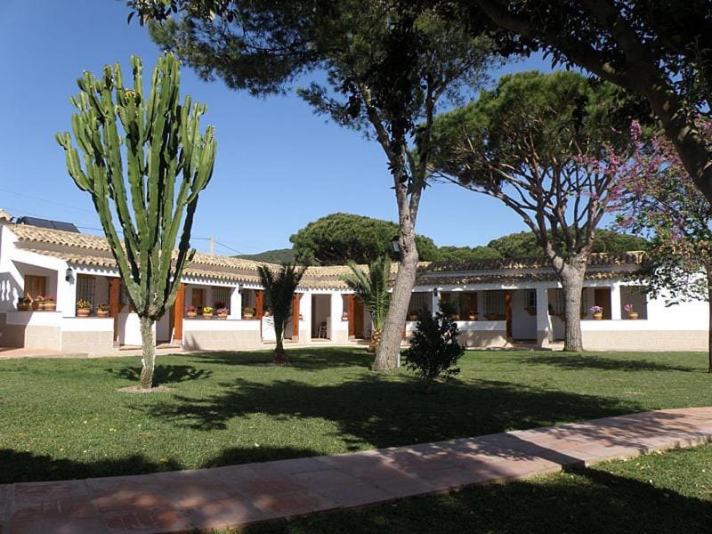 Property building, Day, Garden