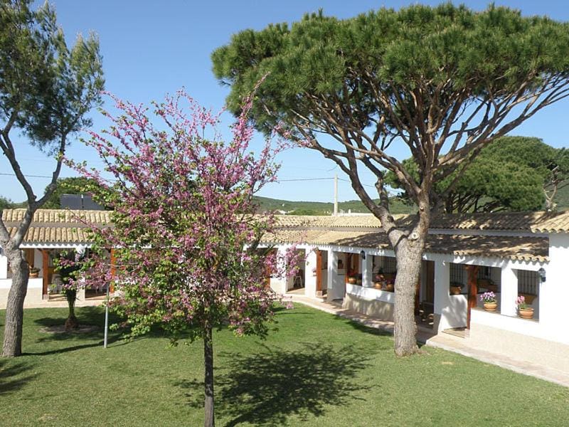 Day, Garden view