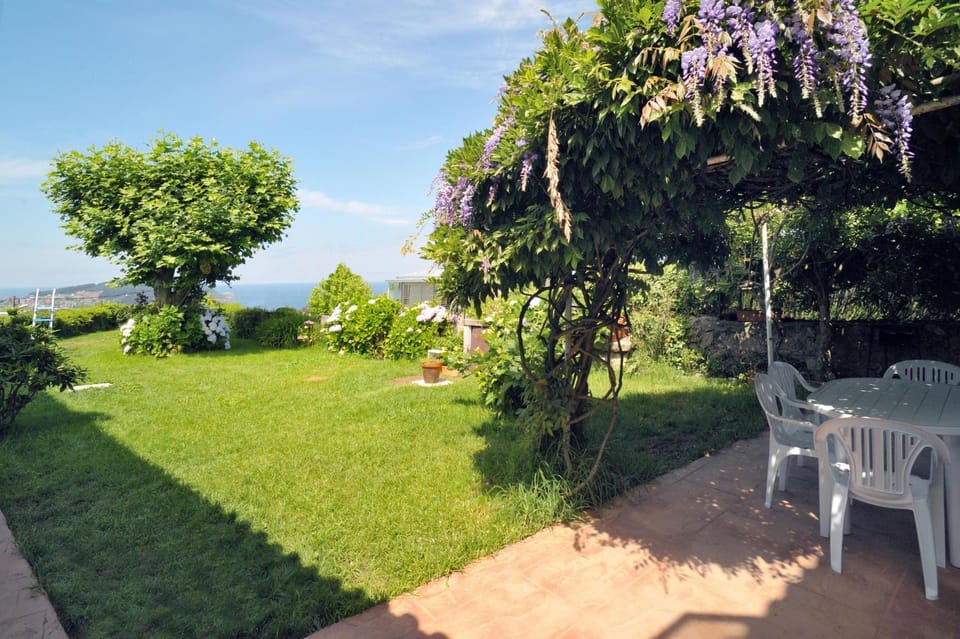 Property building, Garden view