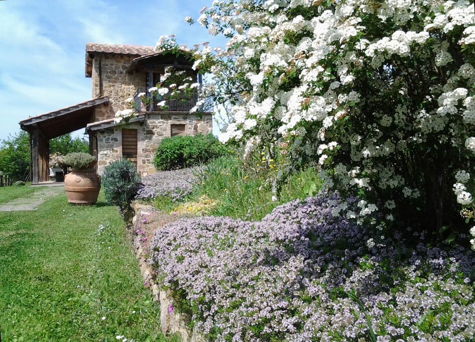 Agriturismo Casa Fibbianello Farm Stay in Lazio