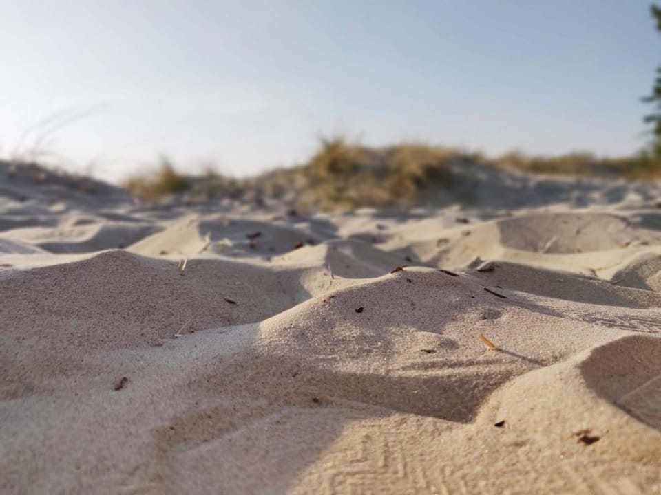 Day, Natural landscape, Beach