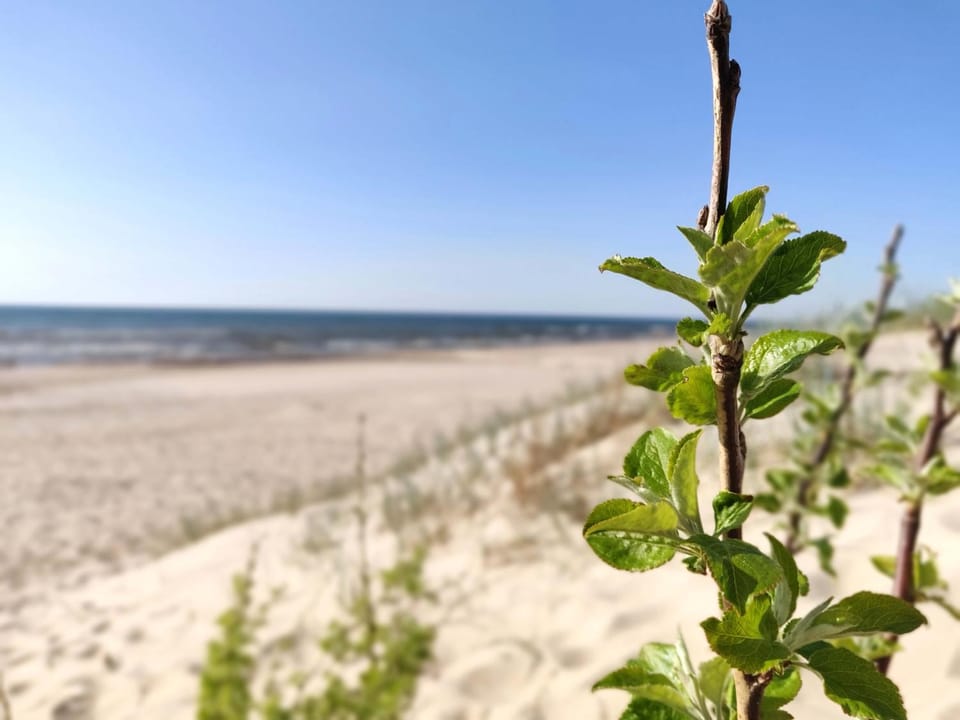 Off site, Day, Beach