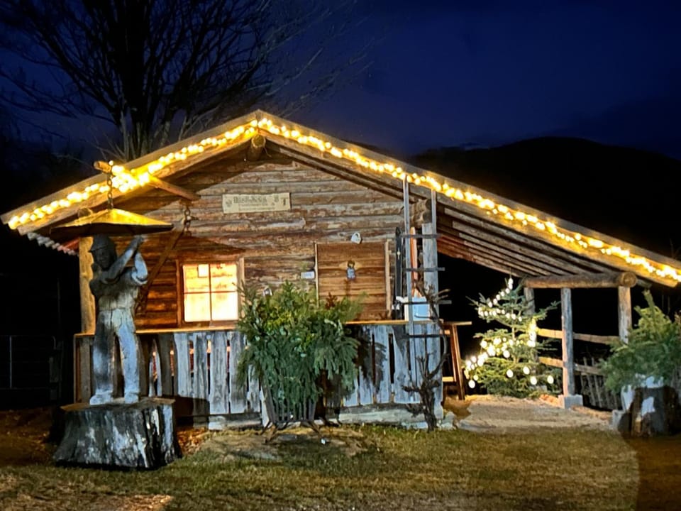 Ferienwohnung Holzer House in Austria