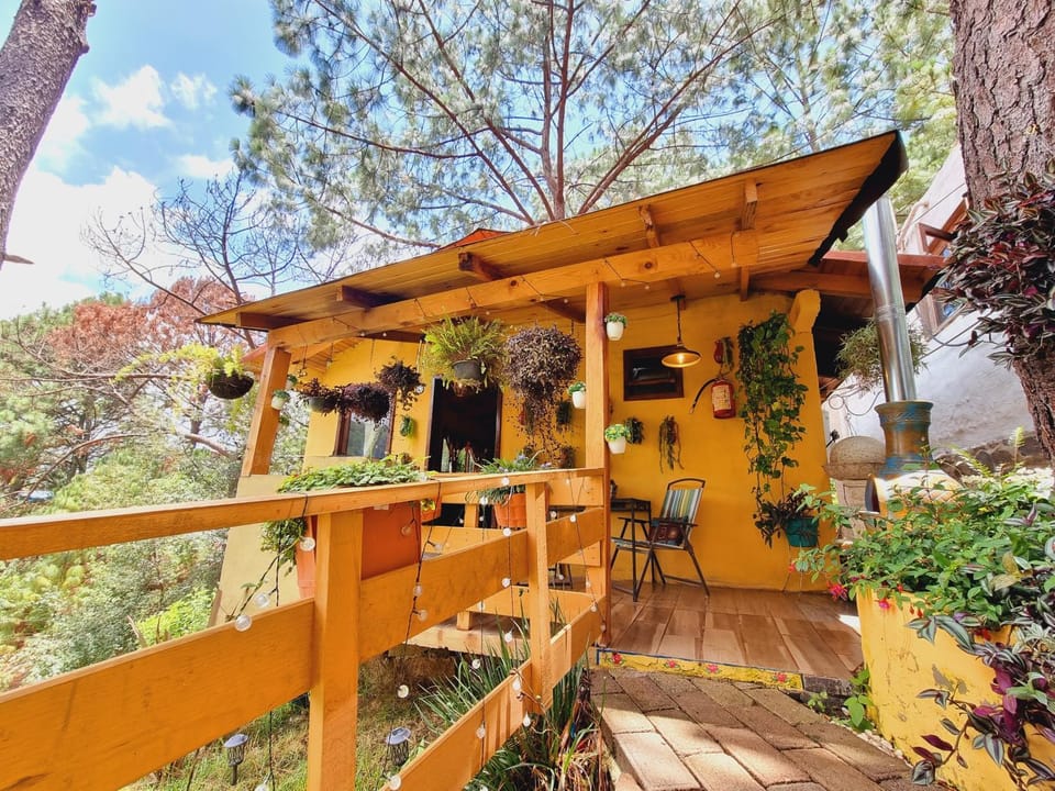 Property building, Day, Balcony/Terrace