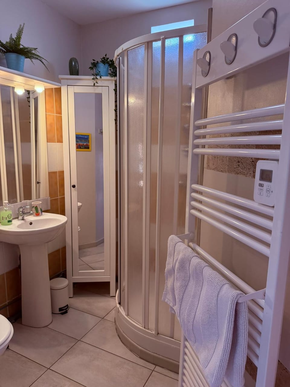 Shower, Toilet, Bathroom, hair dryier