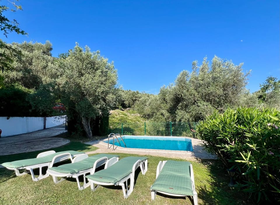 Green Villa in Olives Villa in Montenegro