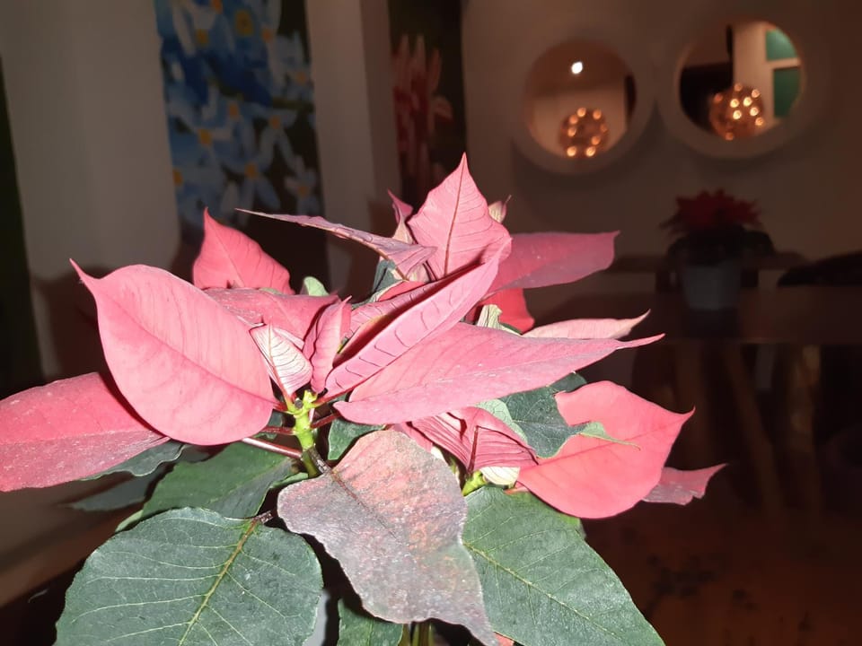 Casa 5 Bed & Breakfast Bed and Breakfast in State of Tabasco