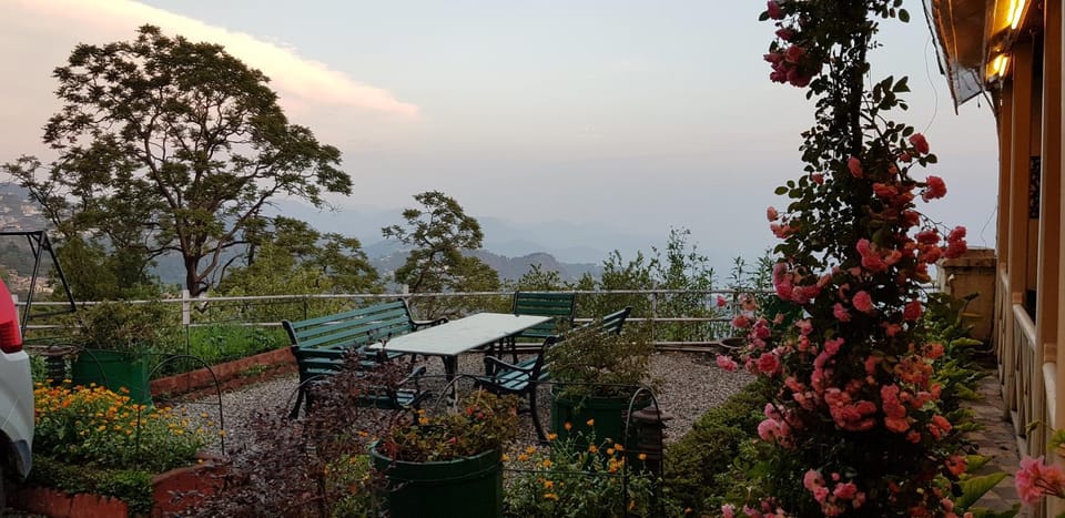 Garden view