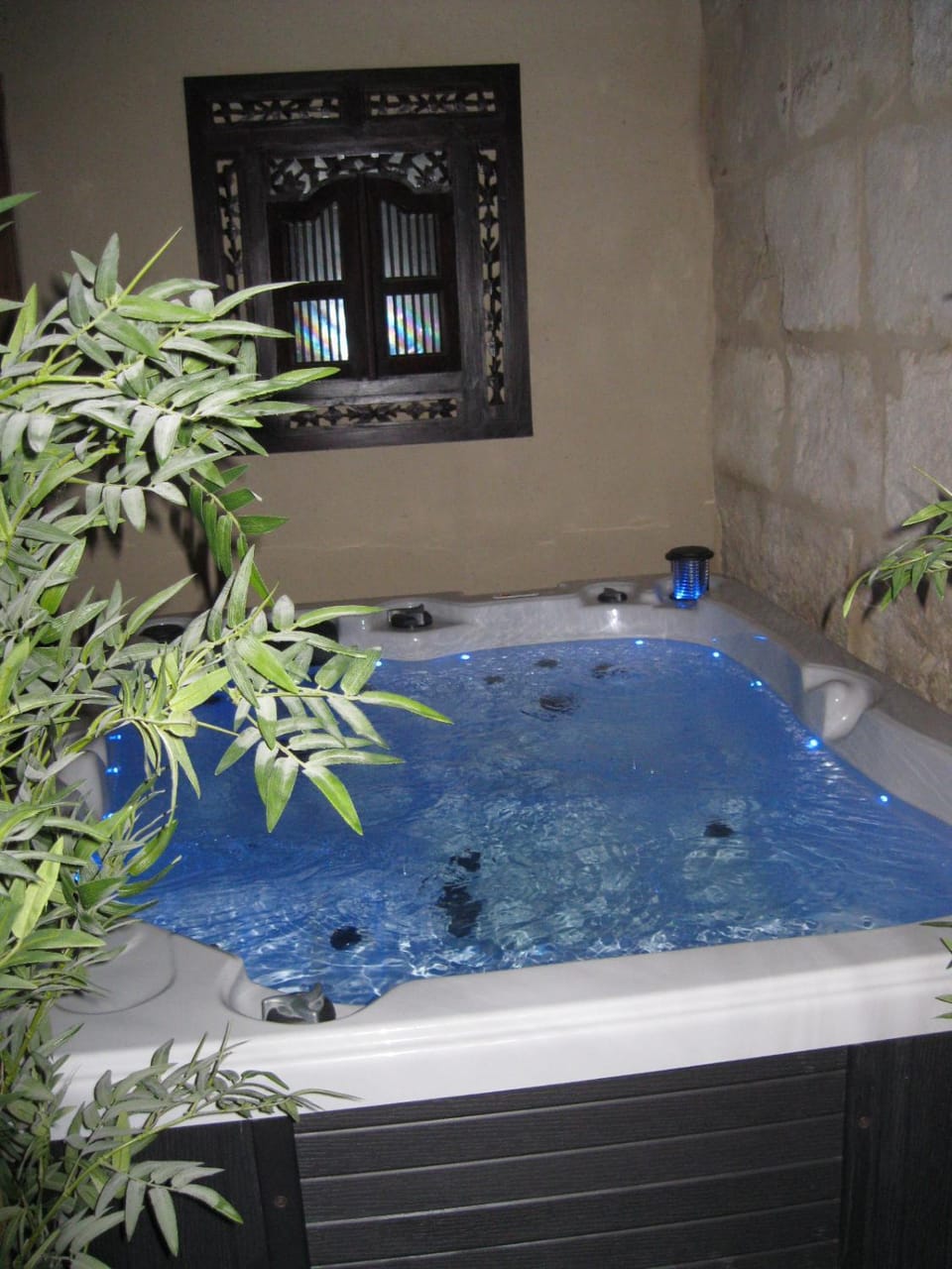 Spa and wellness centre/facilities