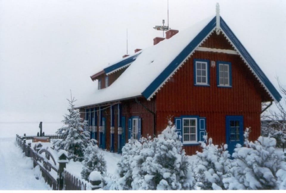 Winter