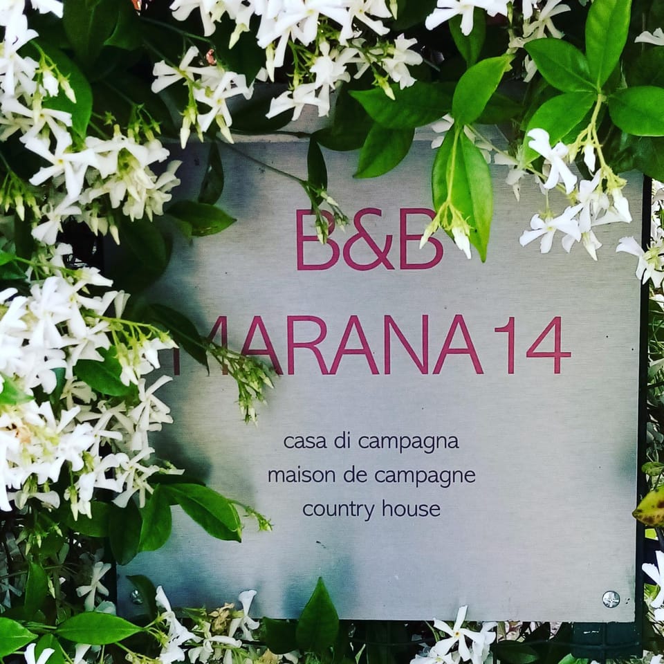 Logo/Certificate/Sign