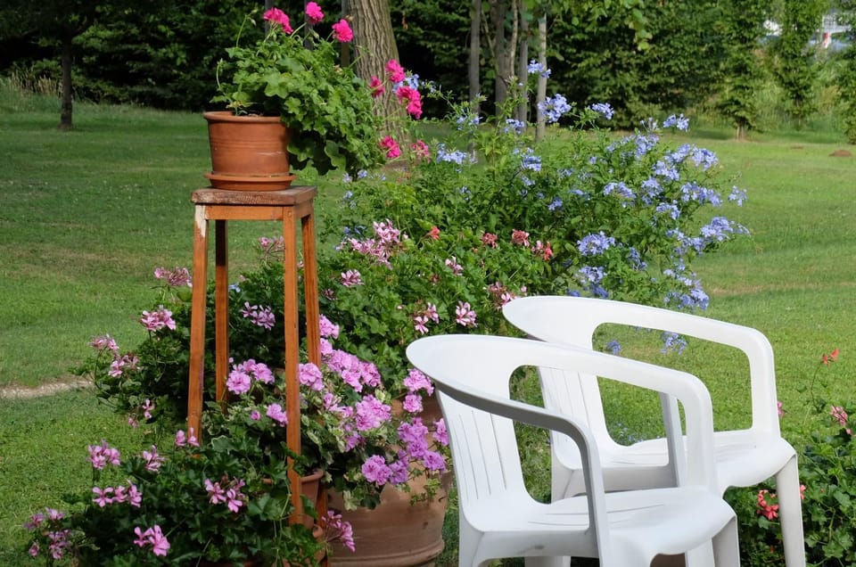 Garden view