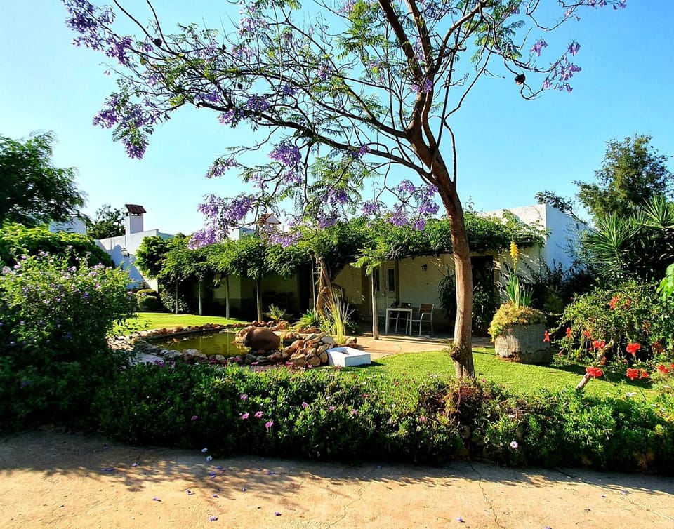 Day, Natural landscape, Garden, Garden view