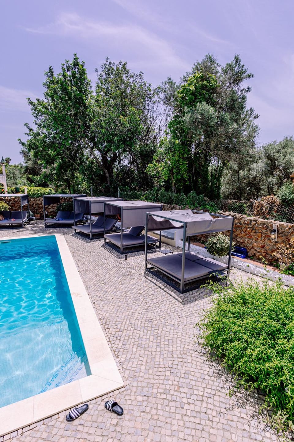 Day, Natural landscape, Garden, Pool view, Swimming pool, sunbed