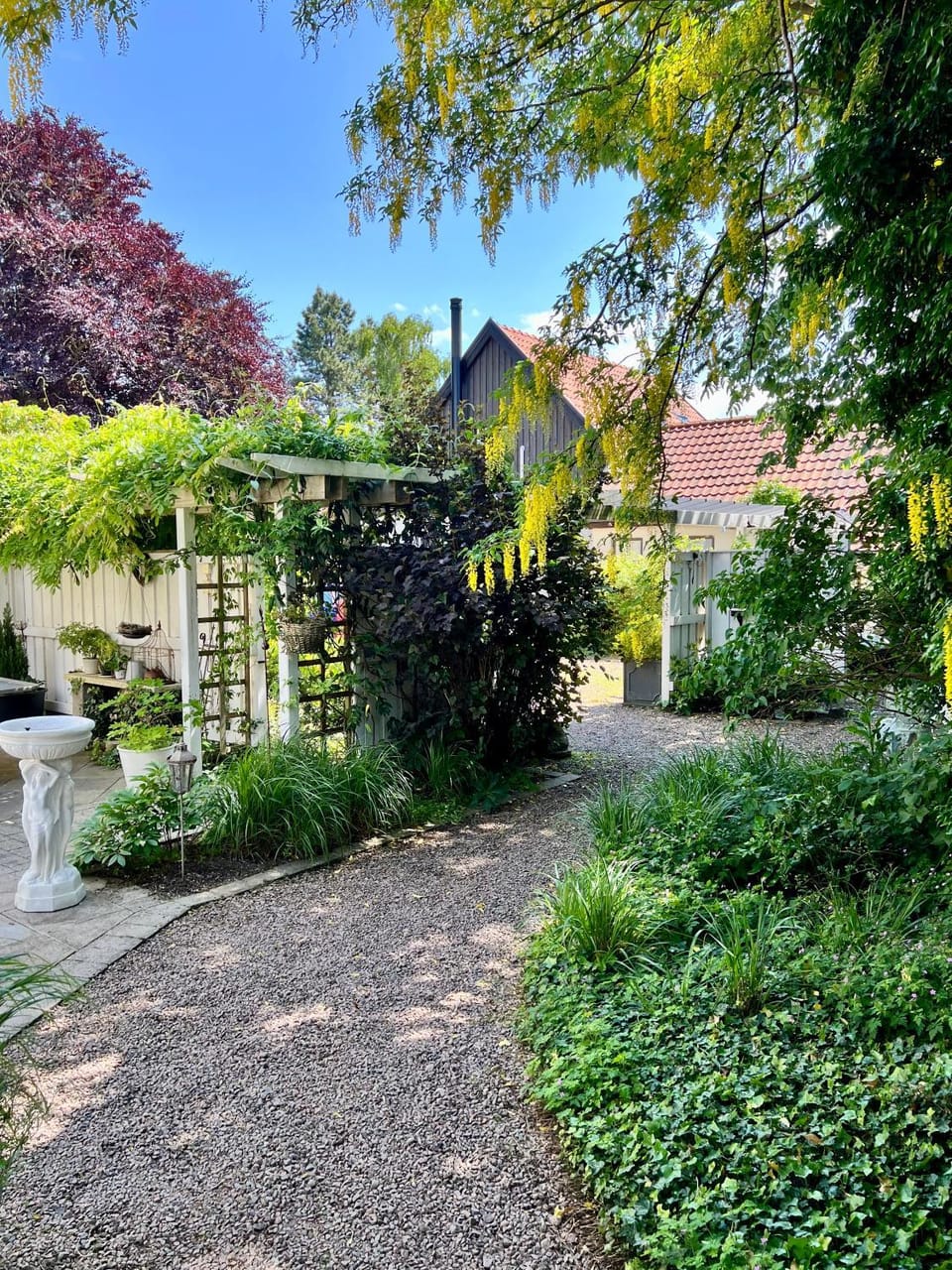 Garden view