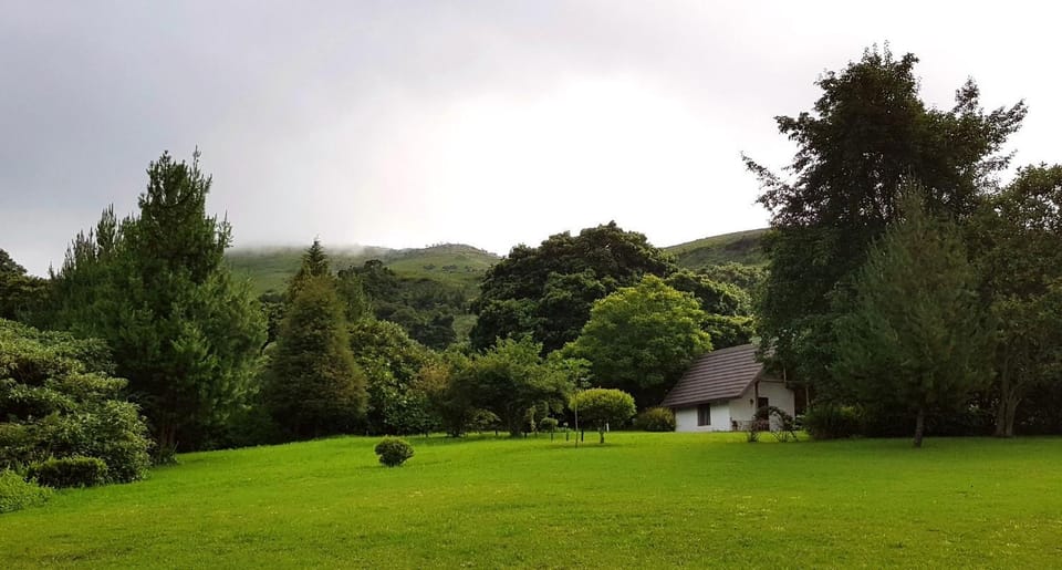 Natural landscape, Garden, Garden view