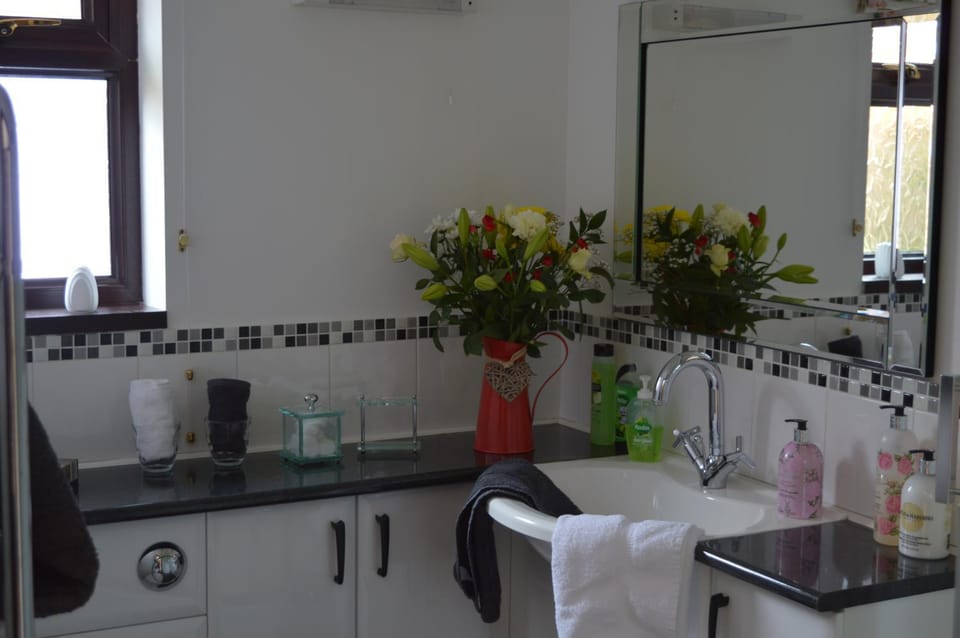 Smithfield Farm Bed & Breakfast Bed and Breakfast in Wales