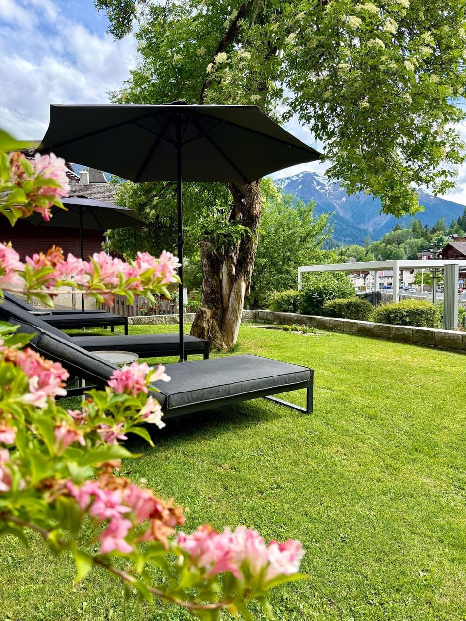 Garden, sunbed