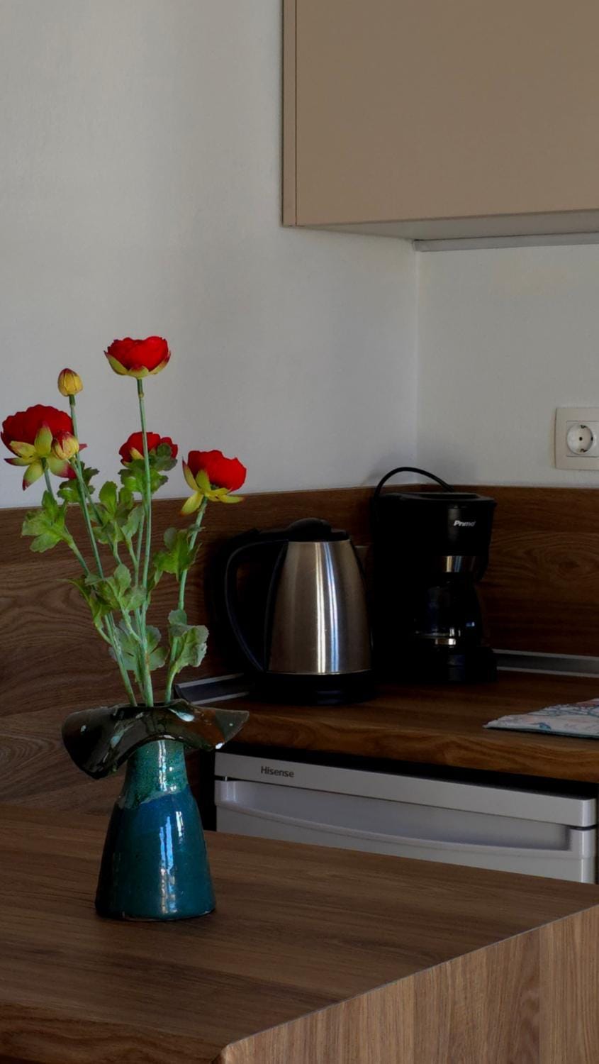 Nostos Bed and Breakfast in Sporades, Greece