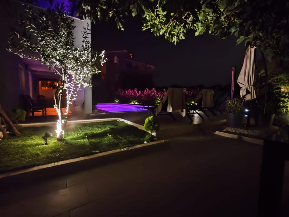 Night, Garden, Garden view