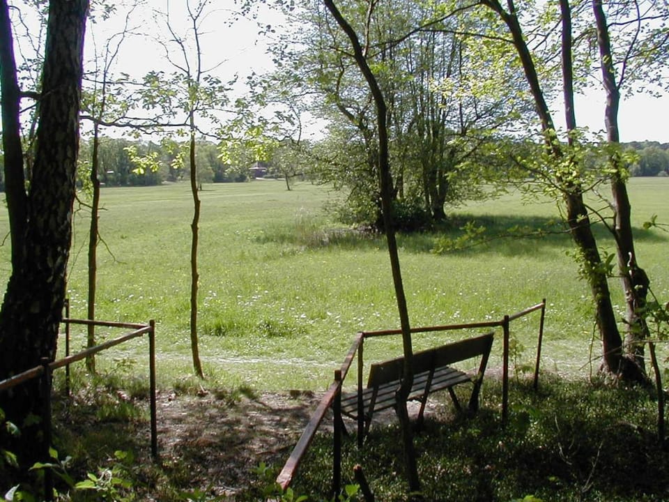 Natural landscape