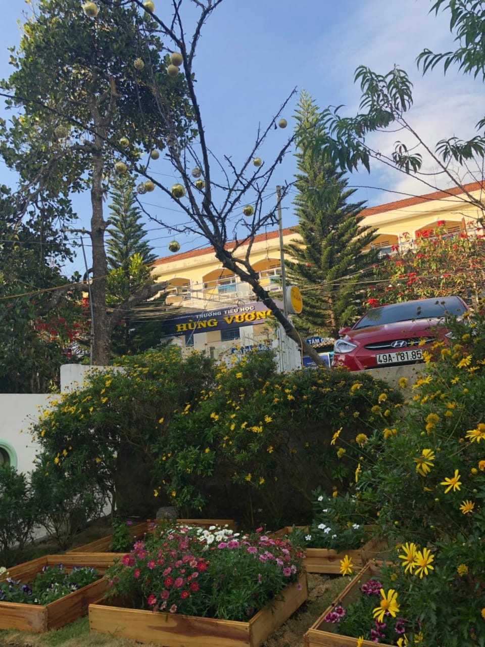 Thu Linh Homestay Apartment in Dalat