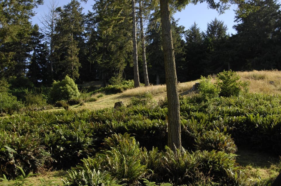 Ye Olde Danish Inn Inn in Ferndale