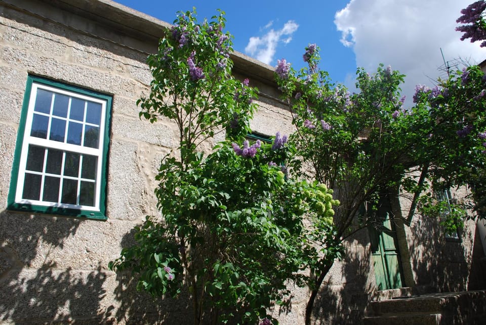 Property building, Garden view