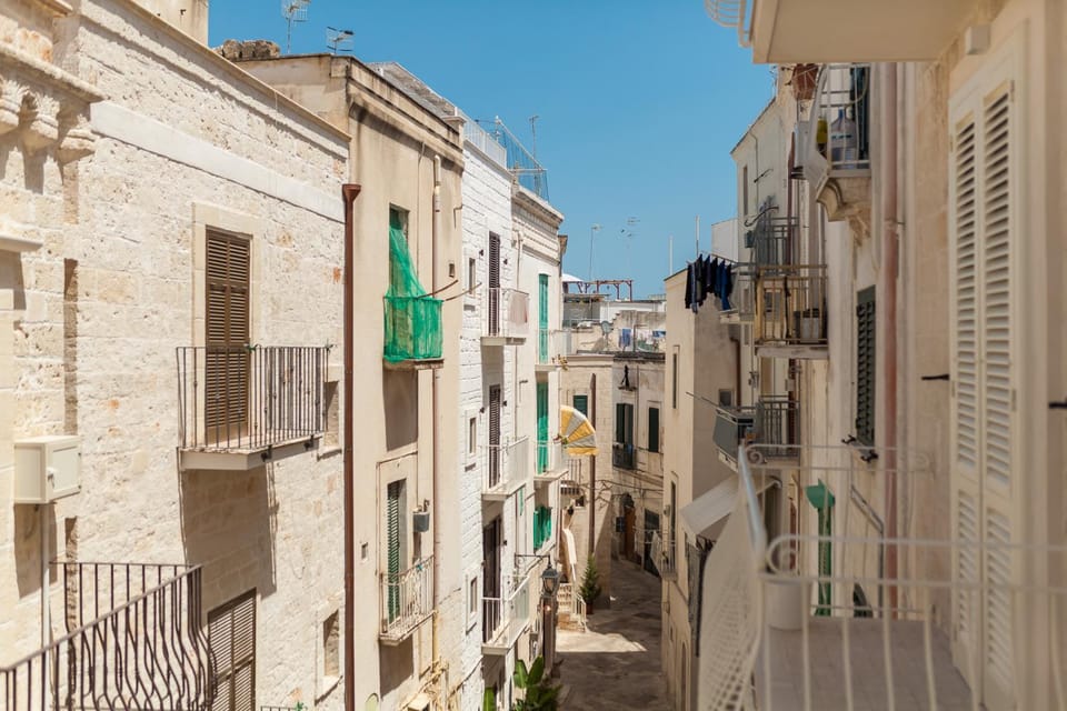 Neighbourhood, City view