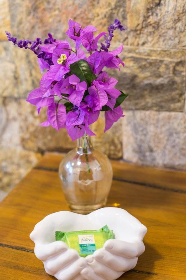 Vilarejo Guesthouse - Silêncio e Aconchego Vacation rental in State of Goiás
