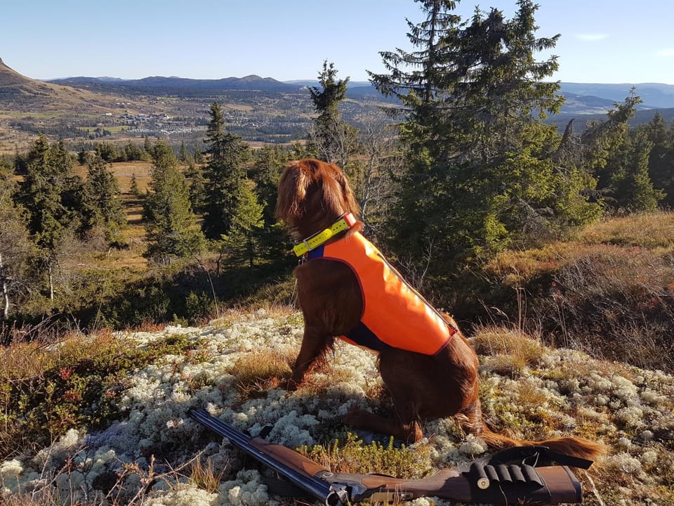 People, Hiking, Pets