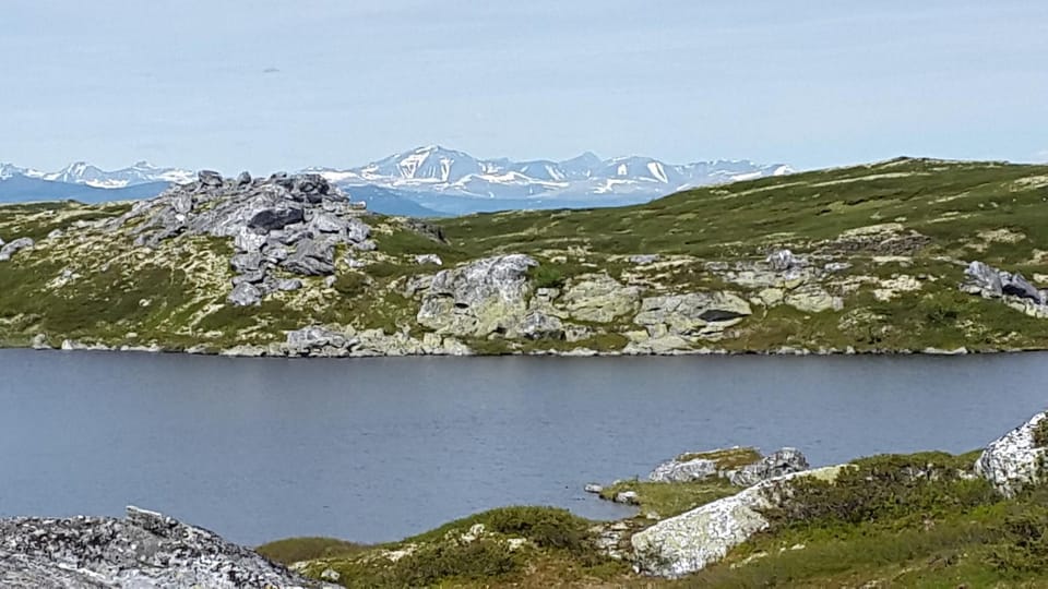Natural landscape