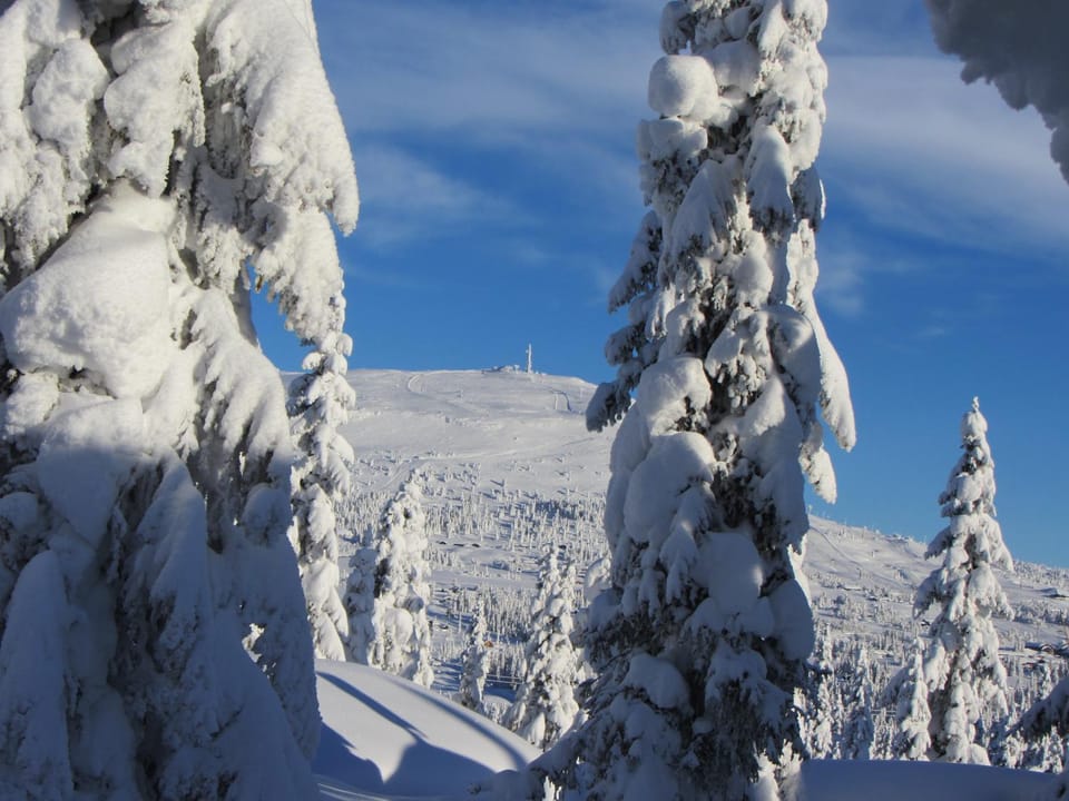 Winter, Mountain view