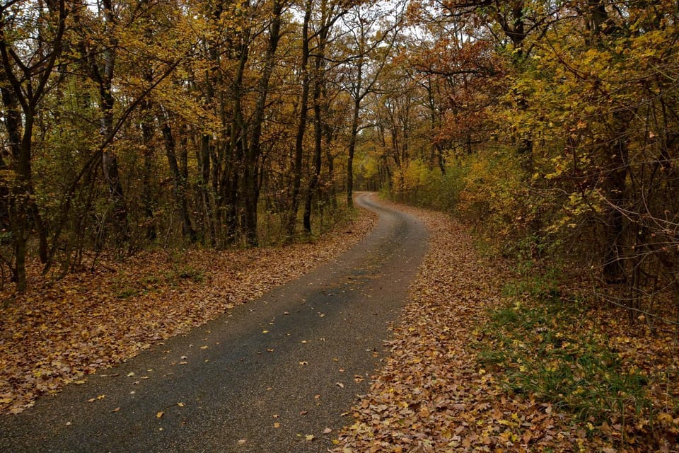 Natural landscape