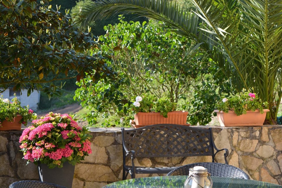 Garden, Garden view