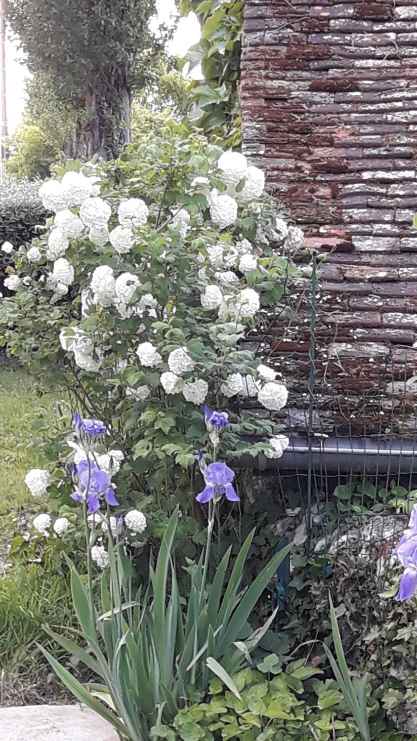 La Bervinière Bed and Breakfast in Centre-Val de Loire